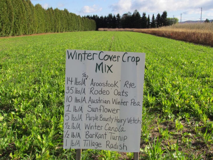Soil Solutions and Cover Crops