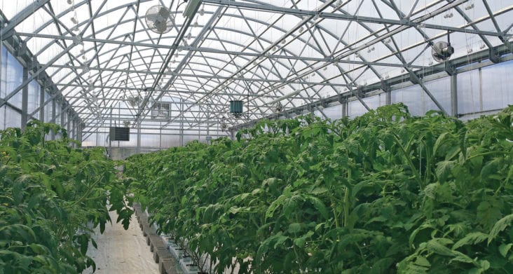 GrowSpan Greenhouse