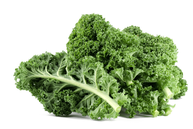 How to Take Kale From Seed to Harvest