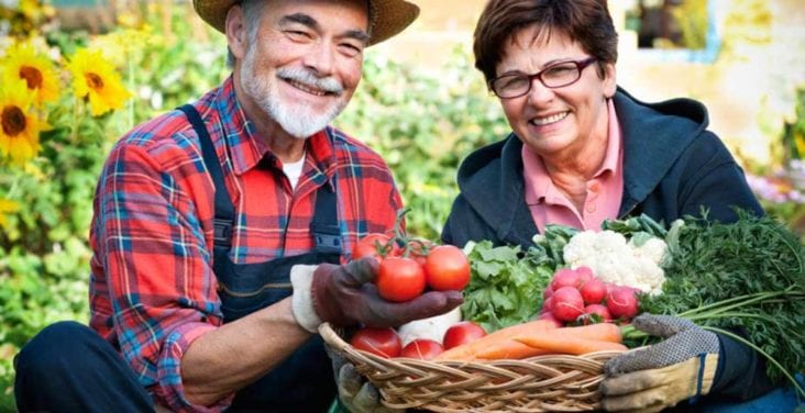 Grow Vegetables For Your Assisted Living Facility
