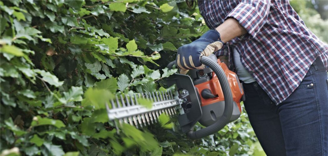 11 Best Battery Hedge Trimmer 2024 - Top Picks Reviews