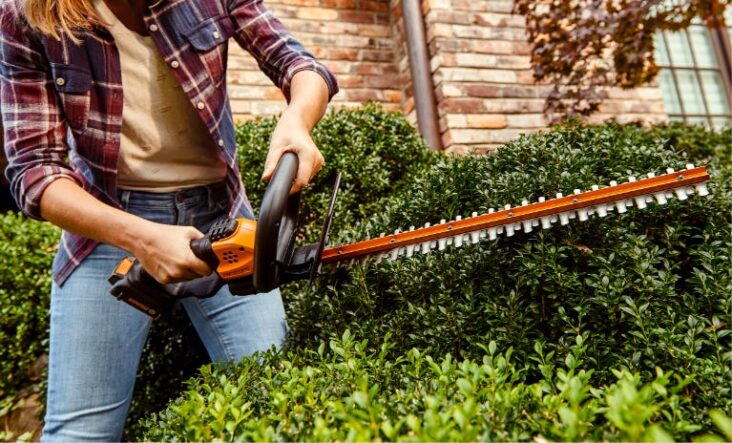 battery hedge trimmer