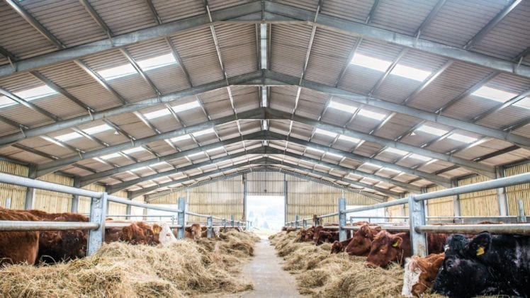 How To Improve The Energy Efficiency Of Livestock Buildings