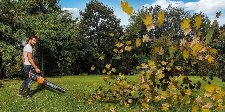 Why You Should Get A Cordless Leaf Blower