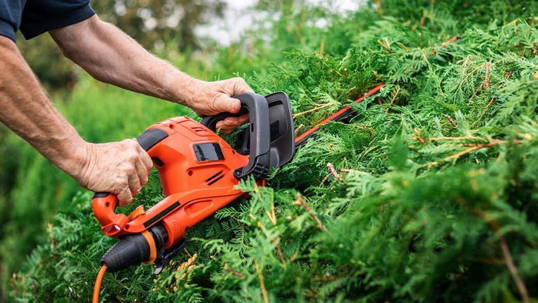 Black and Decker Cordless Hedge Trimmer