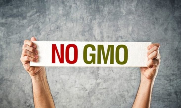 GMO Battle