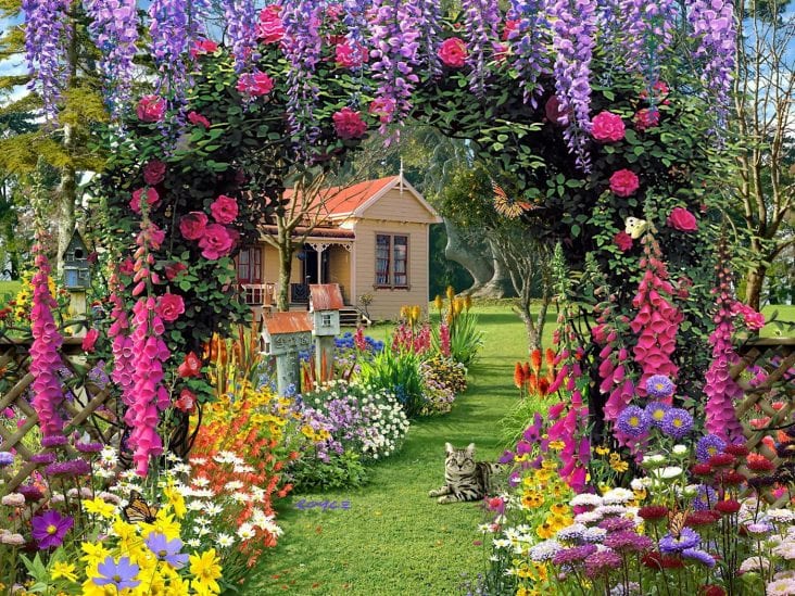 Organic Flower Garden