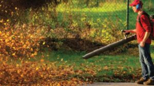7 Best Backpack Leaf Blower 2024 - Top Picks - Growing Magazine