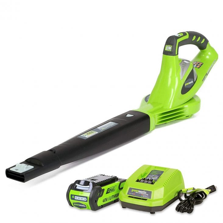 11 Best Cordless Leaf Blower in 2024 Growing Magazine