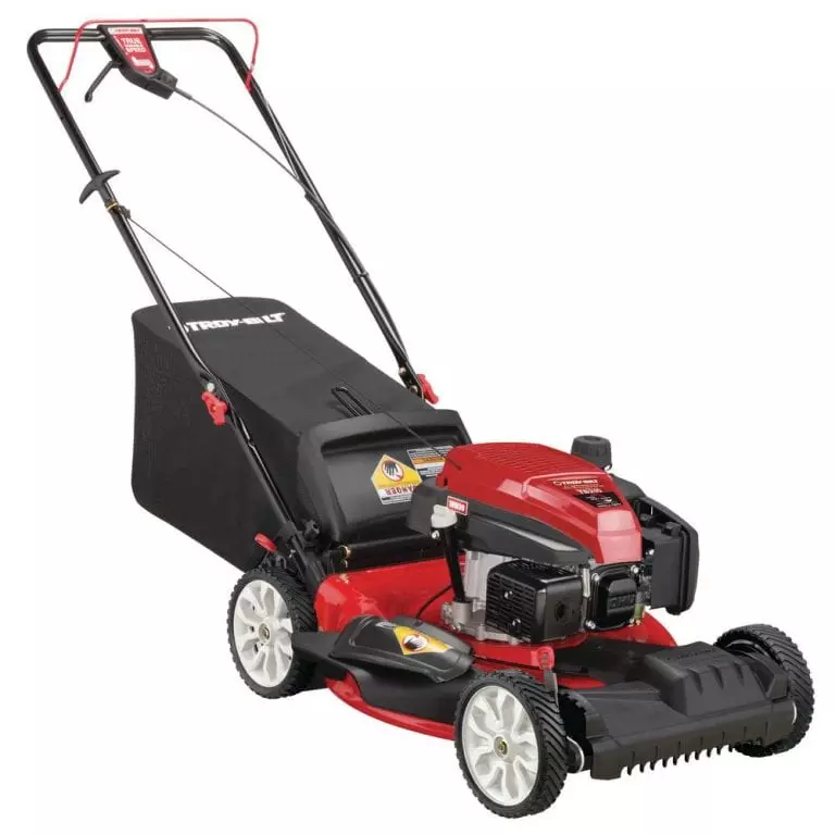 Best Gas Lawn Mower 2025 For Seniors