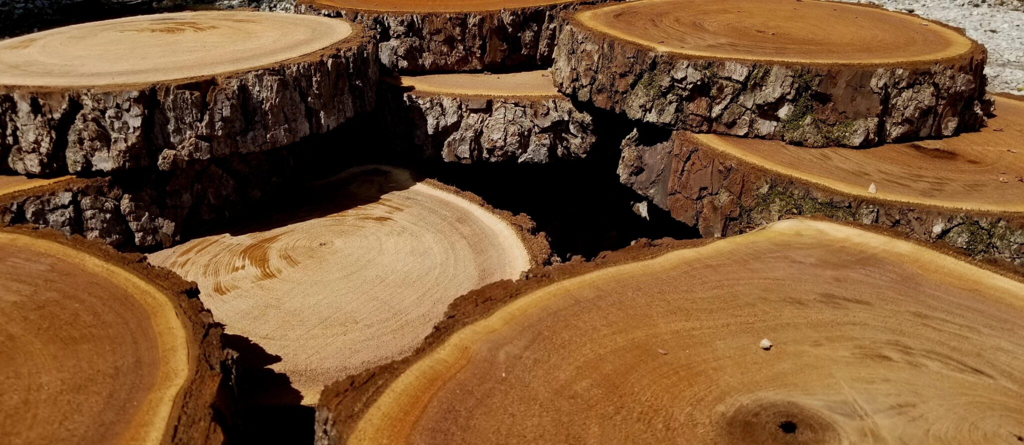 How to Cut Wood Slices with Chainsaw Complete Guide