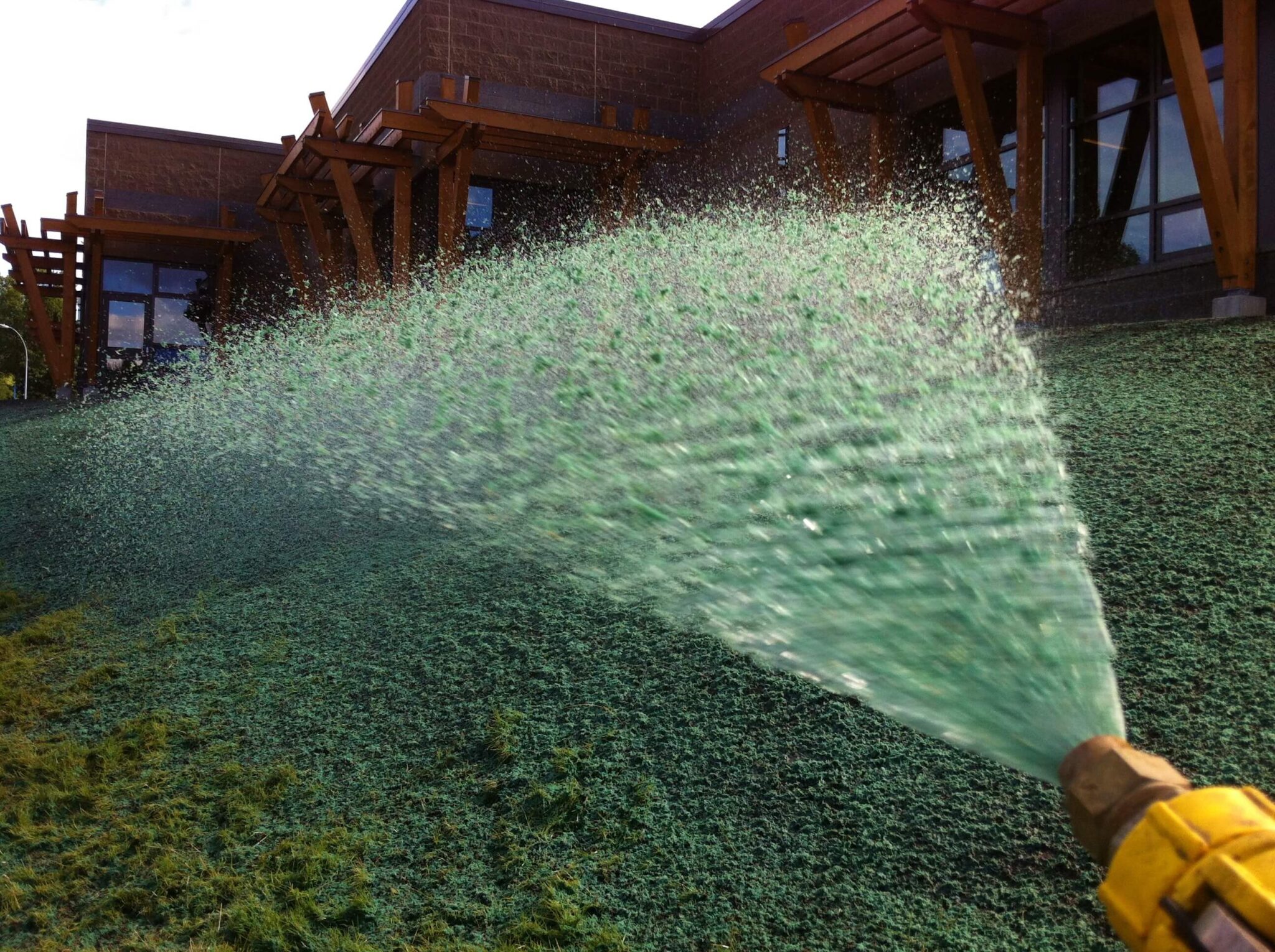 How Is Hydroseeding For Erosion Control in 2024 Growing Magazine