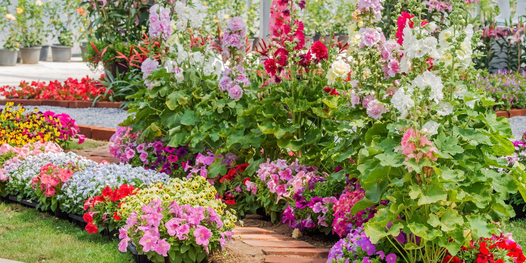 5 Best Ways to Organize Your Garden 2024 Growing Magazine