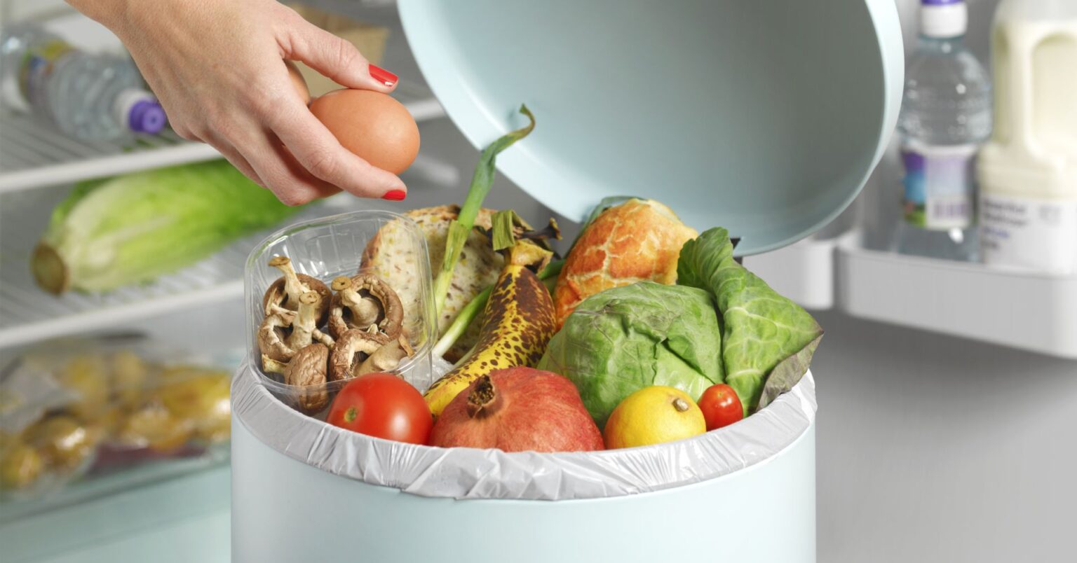 Make a Resolution for 2022 to Reduce Food Waste at Home To Make A ...
