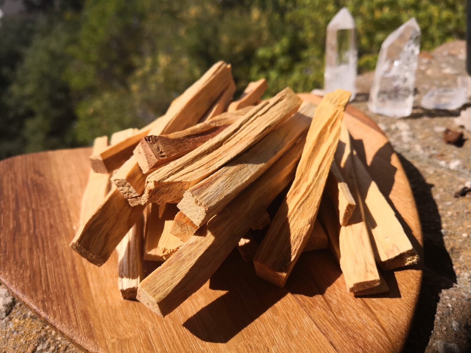 Why it is Important To Use Palo Santo (Bursera Graveolens) in a Sustainable and Responsible Way Why it is Important To Use Palo Santo (Bursera Graveolens) in a Sustainable and Responsible Way
