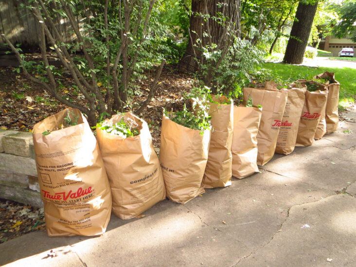 4 Tips and Tricks for Getting Rid of Yard Waste 2022 Guide Growing