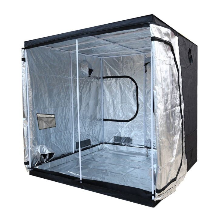 A Beginner Grower’s Guide to Using Indoor Grow Tents 2024 - Growing ...