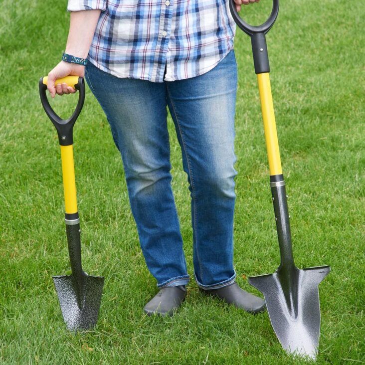 8 Essentials You Need to Have In Your Backyard Shed Growing Magazine