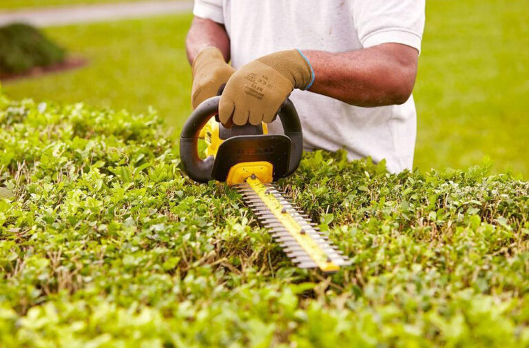 DeWalt Cordless Hedge Trimmer 2024 Review Buying Guide
