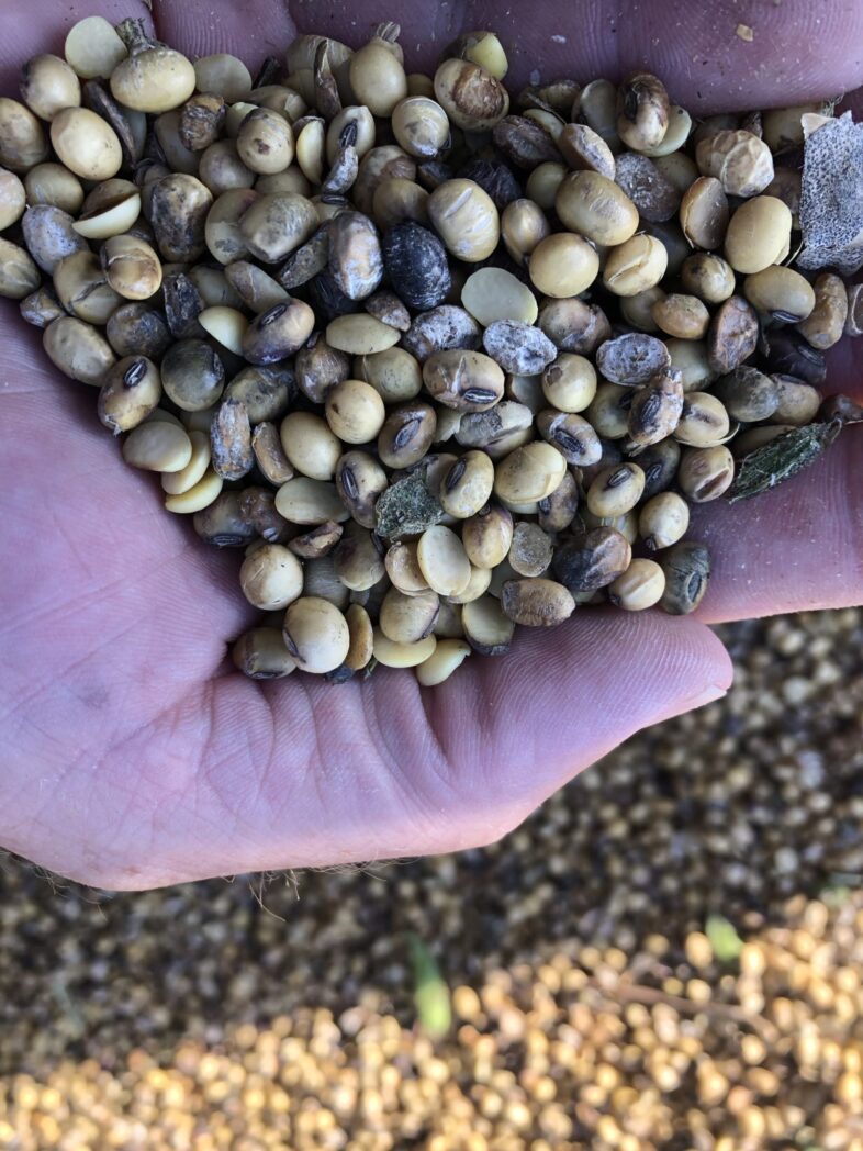 Creating a Safe and Efficient Grain Unloading System Common Mistakes