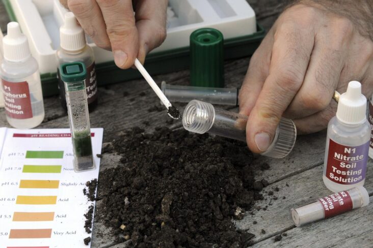 Best Soil pH Test Kits