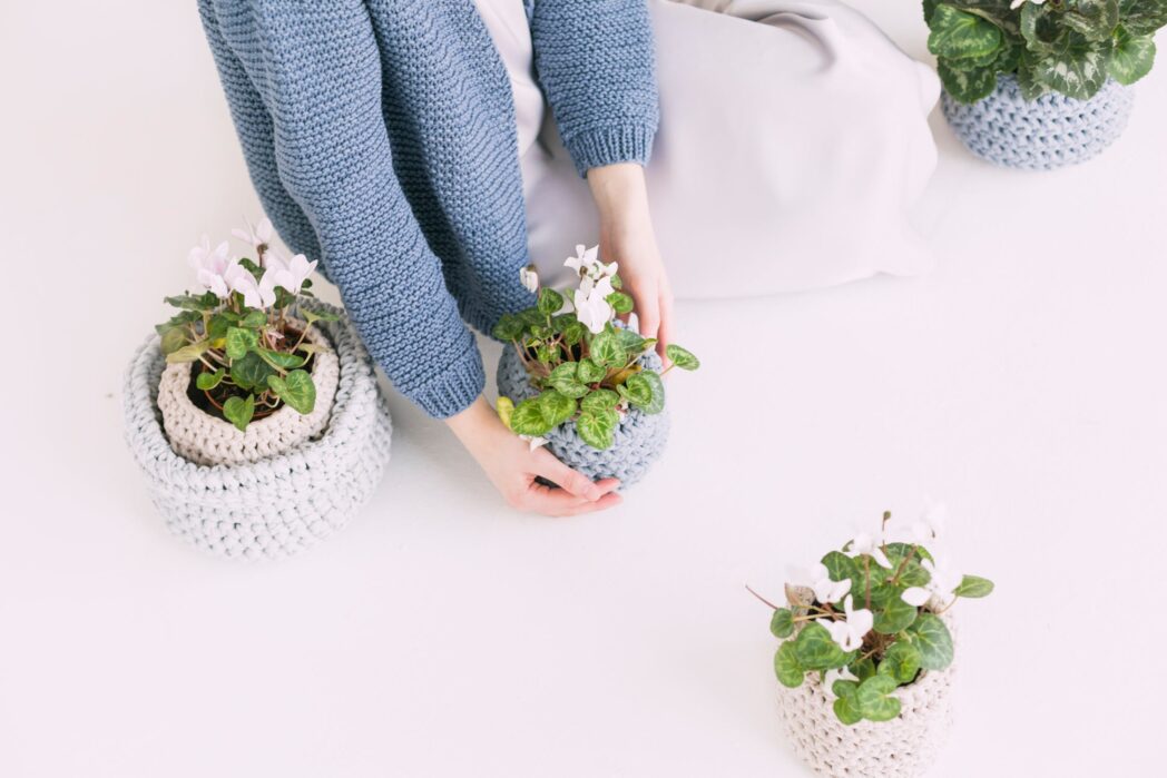 8 Tips On How To Grow Your Indoor Plants - Growing Magazine