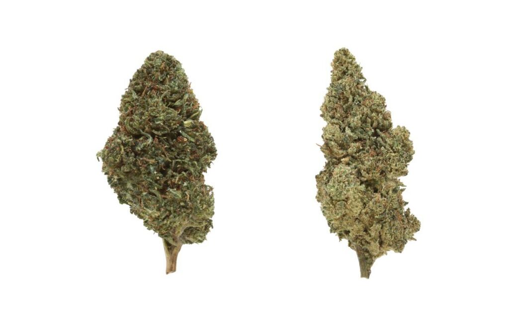 3 Growing Techniques for Delta 8 Hemp Flower! Growing Magazine