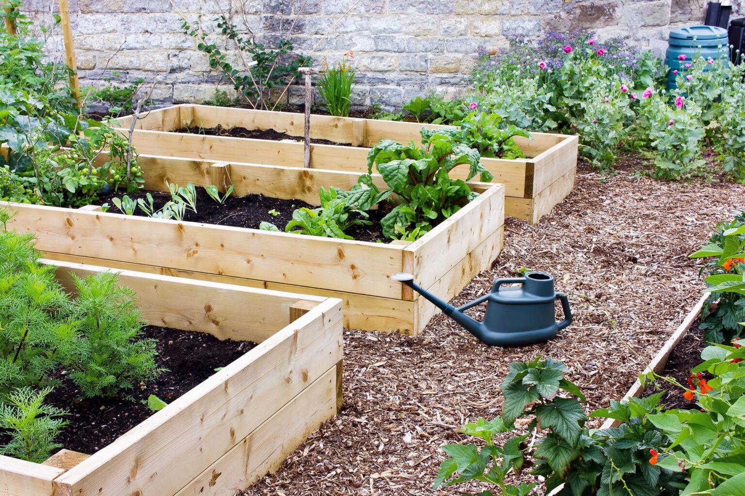How To Set Up a Garden Bed on Concrete Growing Magazine