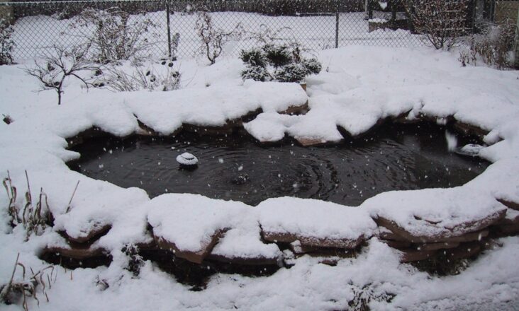 Pond in the winter