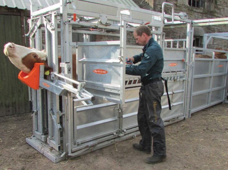 How Does a Cattle Crush Work? Growing Magazine