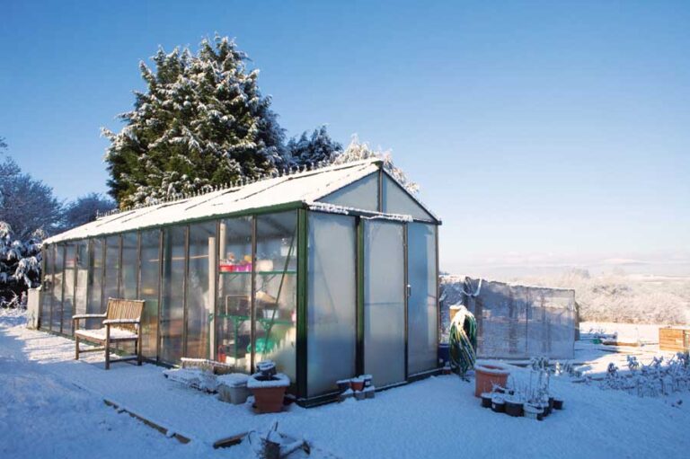 How Does A Greenhouse Work In The Winter? Growing Magazine