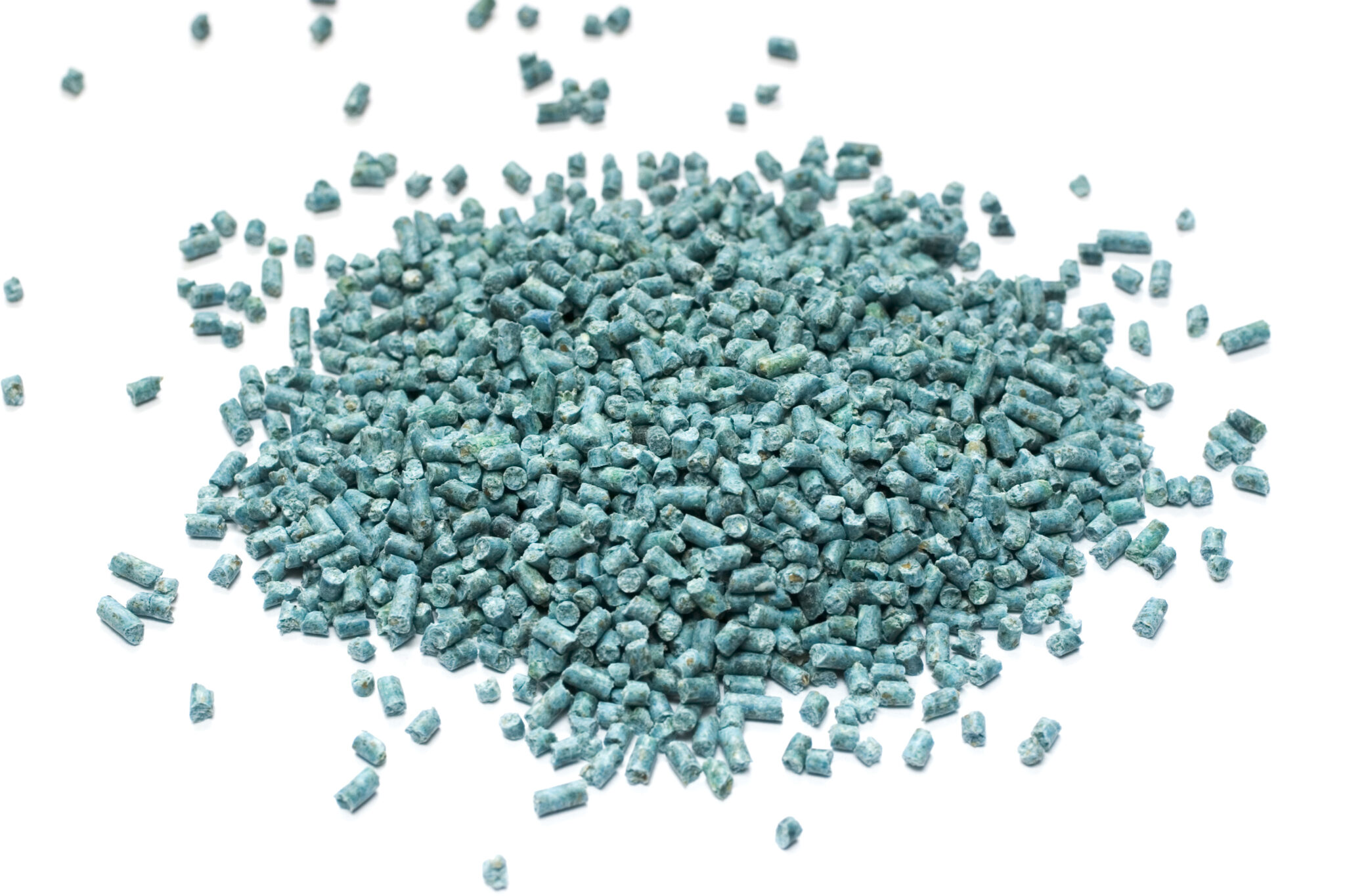 How To Kill Rats Without Harming Other Animals Growing Magazine