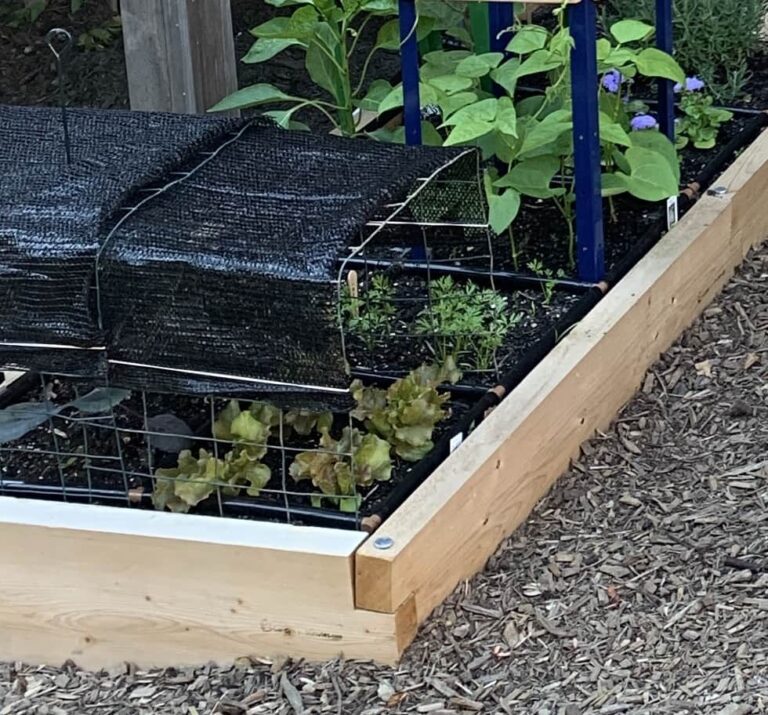 What Is Best Shade Cloth For Plants And How To Choose & Buy Growing