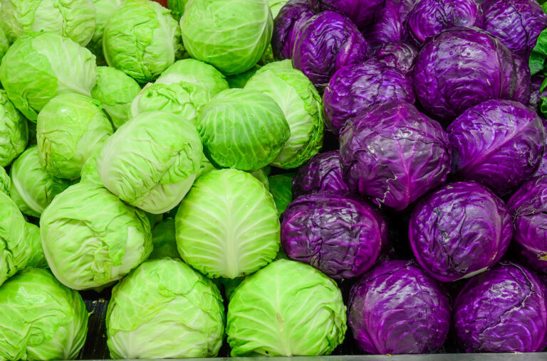 How Long Does Cabbage Last In The Fridge? Growing Magazine