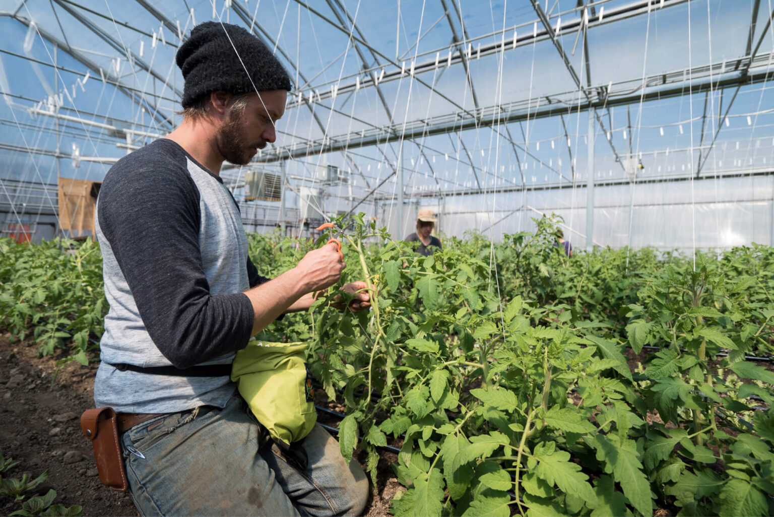 How To Design A Greenhouse For Optimal Plant Growth Growing Magazine