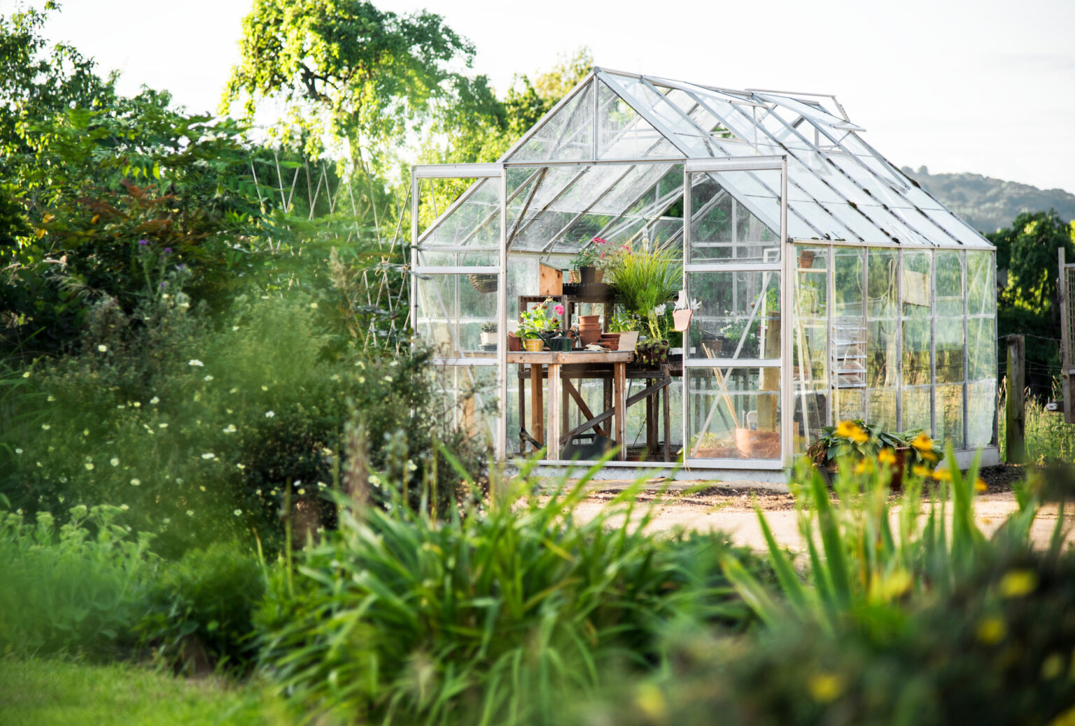 How To Design A Greenhouse For Optimal Plant Growth Growing Magazine