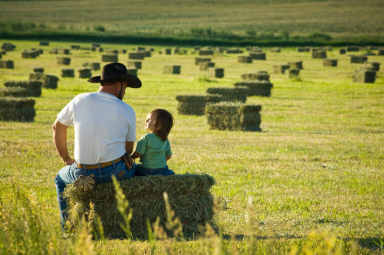 4 Tips for Managing Work-Life Balance Every Farmer Should Adopt ...
