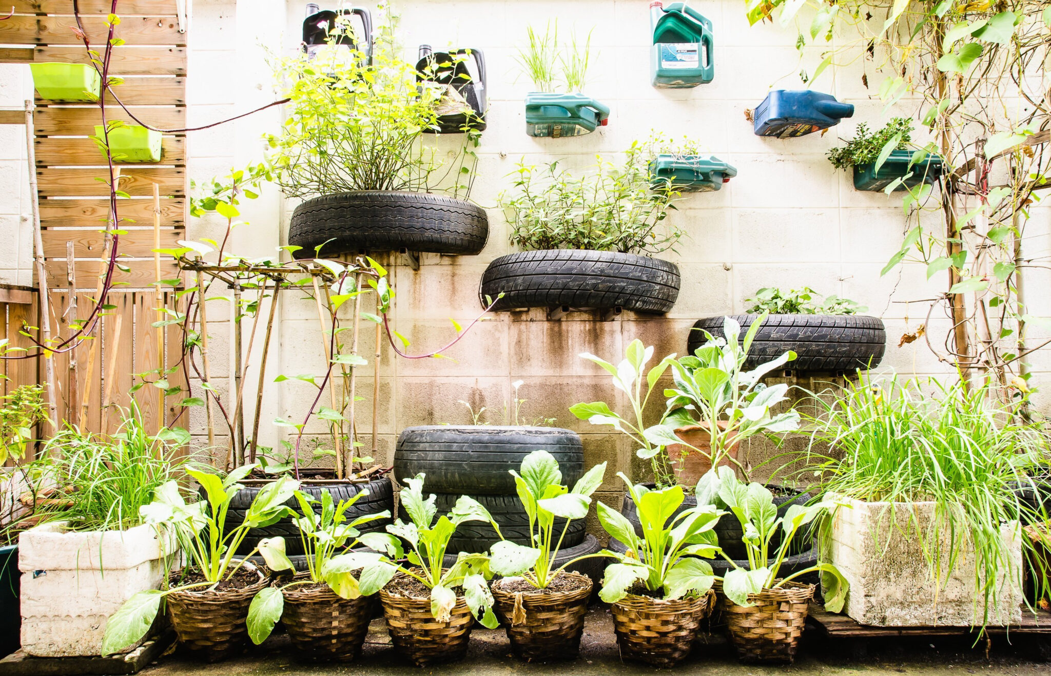 How to Use Social Media for Better Gardening A Green Thumb's Guide to