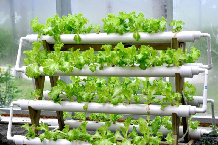 Advantages of Hydroponic Systems - Water Efficiency and space saving