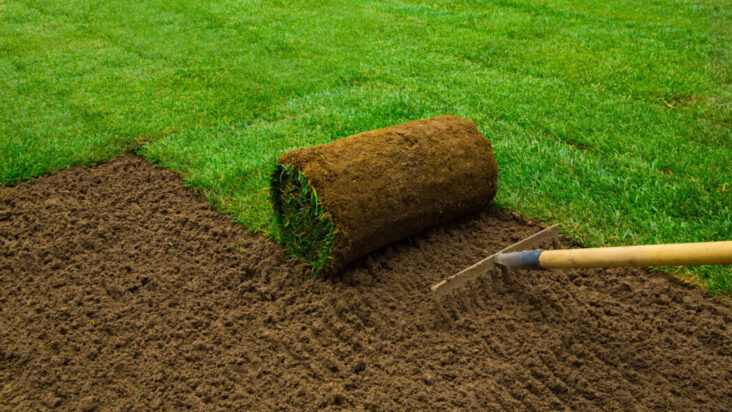 DIY Sod Installation Can Save Money While Providing a Lush Lawn