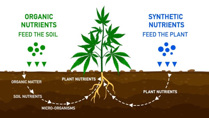 Organic and Synthetic Nutrients