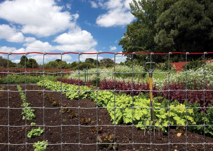 Secure Your Vegetables and Flowers with Fencing