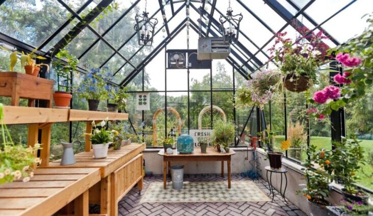 The Integral Role of Skylights in Greenhouse Gardening