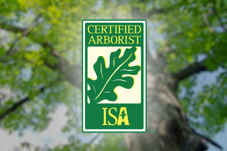 What is a Certified Arborist - International Society Arboriculture