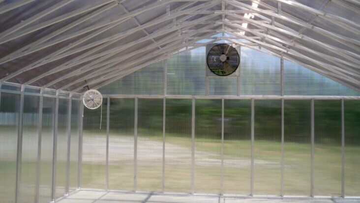 importance of Proper Ventilation in a Greenhouse