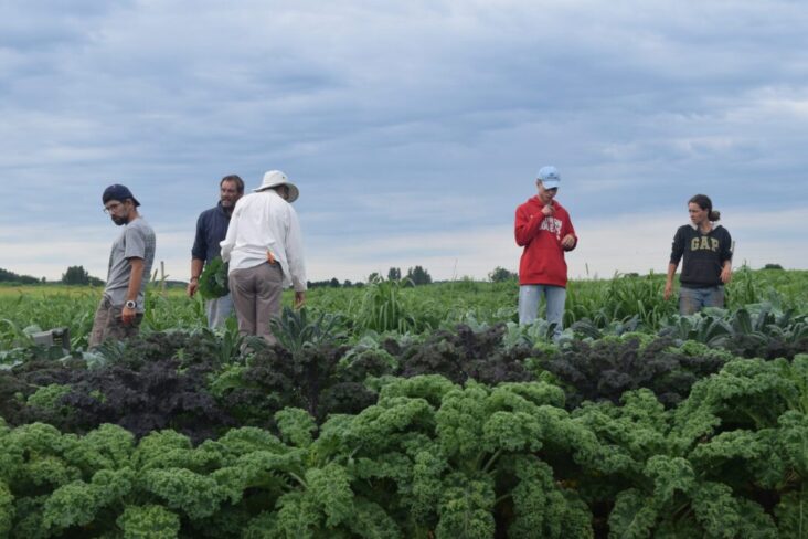 9 Mistakes to Avoid When Setting Up a Homestead - Growing Magazine