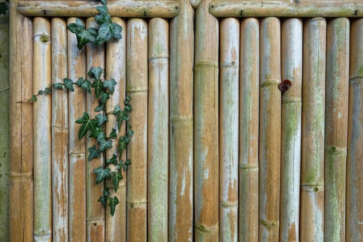 Fencing for a Green Lifestyle- Sustainable Iron and Wood Options