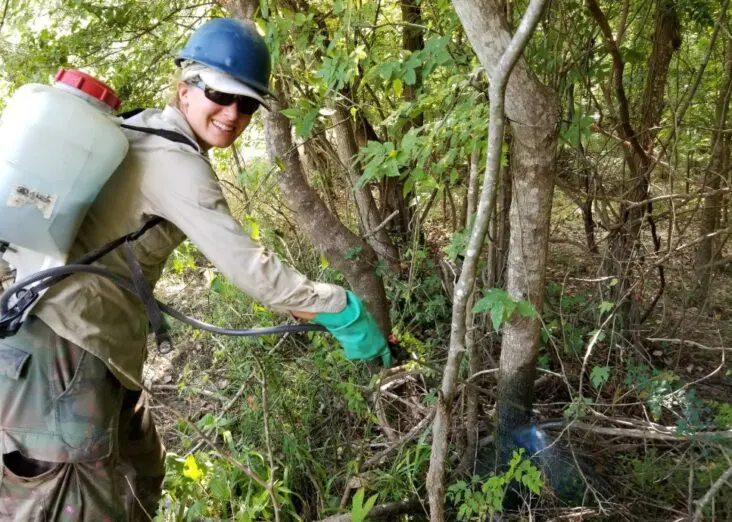 Managing Invasive Plant Growth
