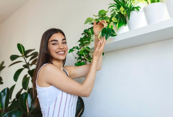 Adding Greenery to Your Property